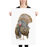Wild Turkey Watercolor Art Print