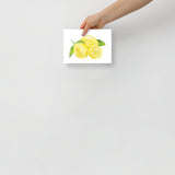 Lemons Watercolor Art Print