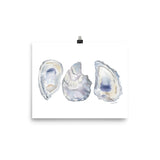 Oysters Seashell Watercolor Art Print