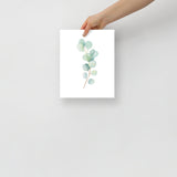 Eucalyptus Watercolor Art Print