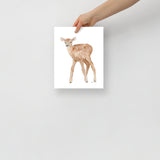 Elk Calf Watercolor Print