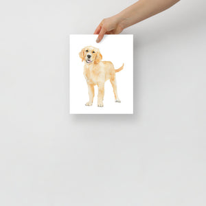 Golden Retriever Puppy  Watercolor 2 Fine Art Print