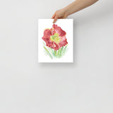 Red Daylily Watercolor Floral Poster