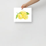 Lemons Watercolor Art Print