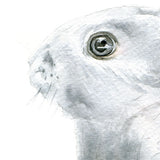 Gray Bunny Rabbit Original Watercolor Painting