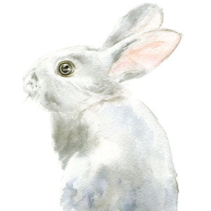 Gray Bunny Rabbit Original Watercolor Painting