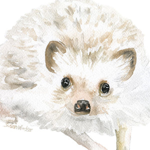 Hedgehog Original Watercolor Painting