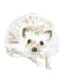 Woodland Animal Art Print Set One - Set of 4 Animals - Bunny, Deer, Hedgehog, Owl