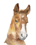 Farm Animal Art Print Set One - Set of 4 Animals - Horse Pig Duckling Calf