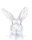 Animal Watercolor Art Prints - Set of 4  - Mix and Match