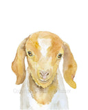 Animal Watercolor Art Prints - Set of 4  - Mix and Match