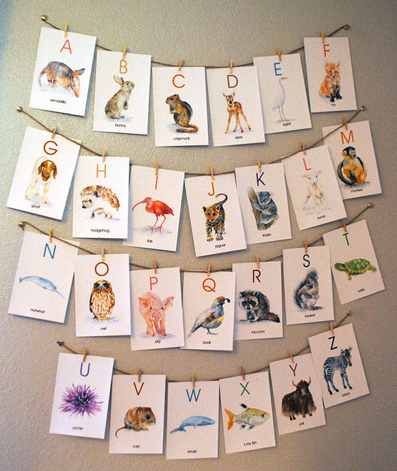 Animal Alphabet Flash Cards