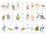 Animal Alphabet Flash Cards