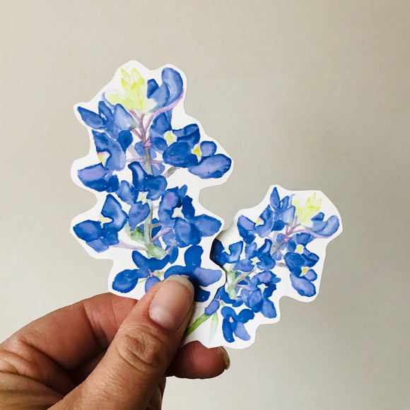 Bluebonnet Sticker