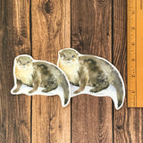 River Otter Sticker
