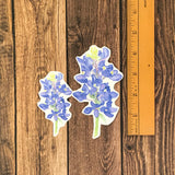 Bluebonnet Sticker