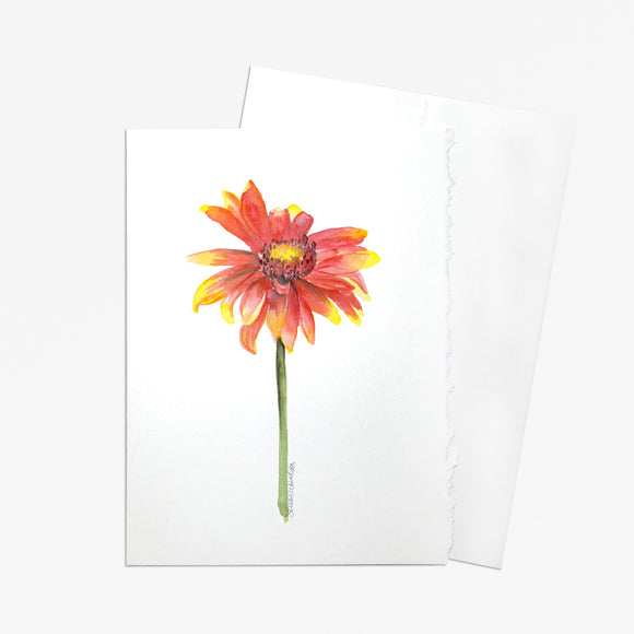 Indian Blanket Watercolor Floral Greeting Card