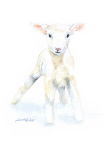 Lamb Cards Set of 10