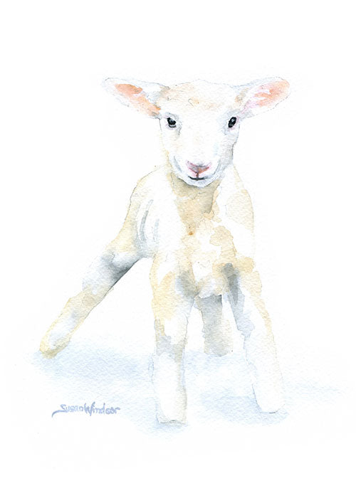Lamb Cards Set of 10