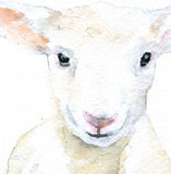 Lamb Cards Set of 10