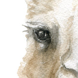 Llama Original Watercolor Painting