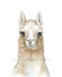 Llama Original Watercolor Painting