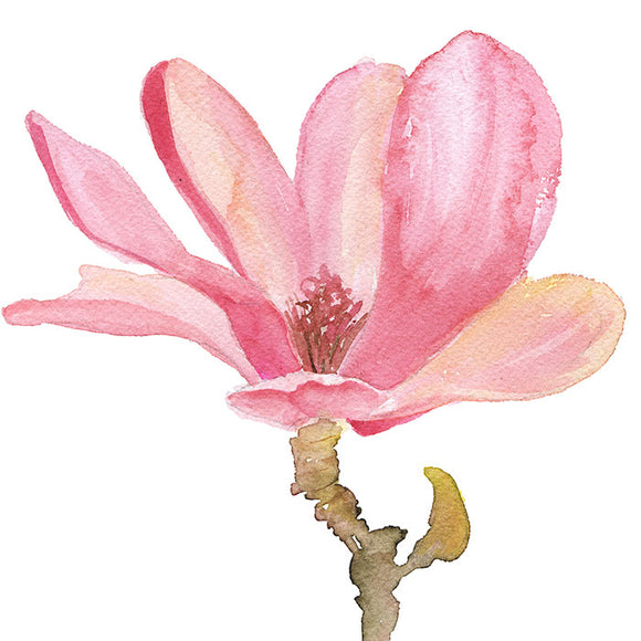 Magnolia Flower Original Watercolor Painting