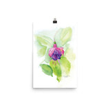 Fuchsia Watercolor Floral