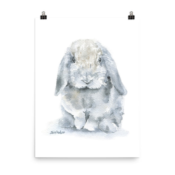 Mini Lop Rabbit Watercolor