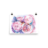 Peonies Watercolor Print