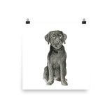 Black Labrador Puppy Watercolor
