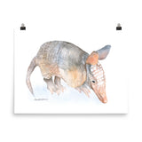 Armadillo Watercolor Print