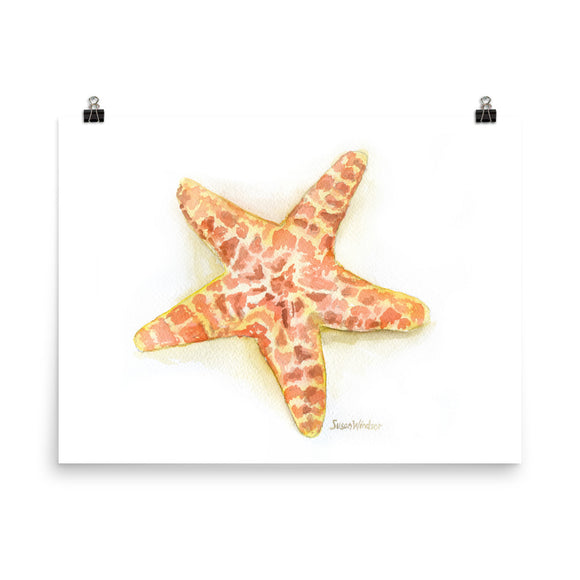 Sea Star Starfish Watercolor