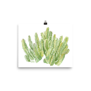 Cactus Moroccan Mound Watercolor
