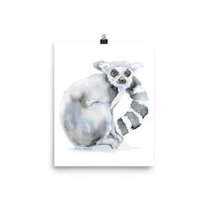 Ring-Tailed Lemur Watercolor Print