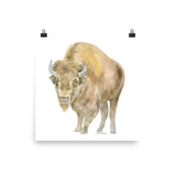 Bison Watercolor Print