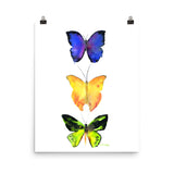 Three Butterflies Watercolor
