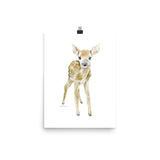 Deer Fawn Watercolor 2