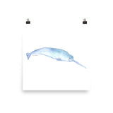 Narwhal Watercolor