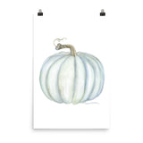 Gray Pumpkin Watercolor