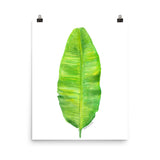 Banana Leaf Watercolor