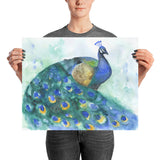 Peacock 2 Watercolor