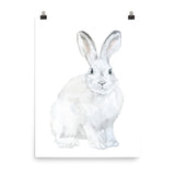 Arctic Rabbit Watercolor