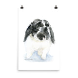 Black and White Lop Bunny Rabbit Watercolor