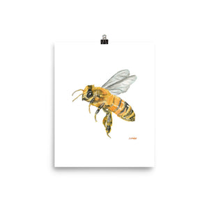 Honey Bee Watercolor