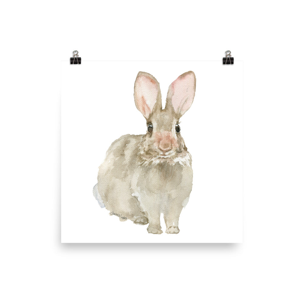 Cottontail Bunny Rabbit - Front - Watercolor Art Print – Susan Windsor