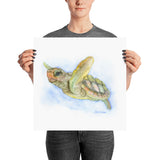 Sea Turtle Watercolor