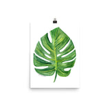 Monstera Leaf Watercolor