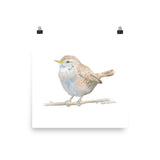 Wren Watercolor Print