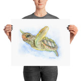 Sea Turtle Watercolor